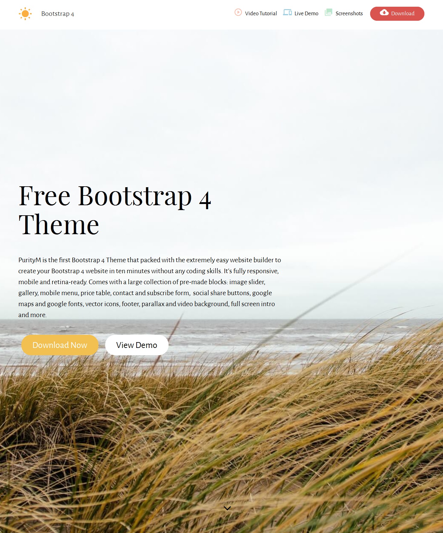 CSS3 Bootstrap Blog Theme